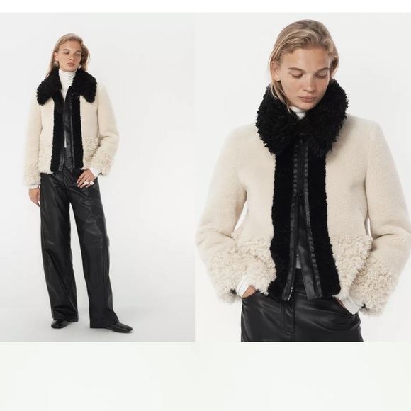 Zara Cream Teddy Jacket with Black Collar - Picture 6 of 8